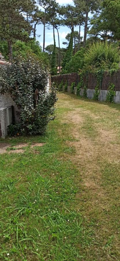 Charmante Villa Patio Proche De L'Ocean Seignosse Exteriér fotografie